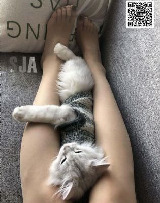 国产91精选在线观看麻豆_HD免费电视剧