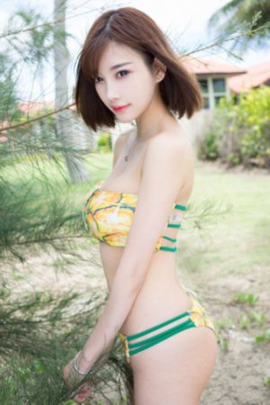 免费视频黄_高清完整版免费全集免费观看
